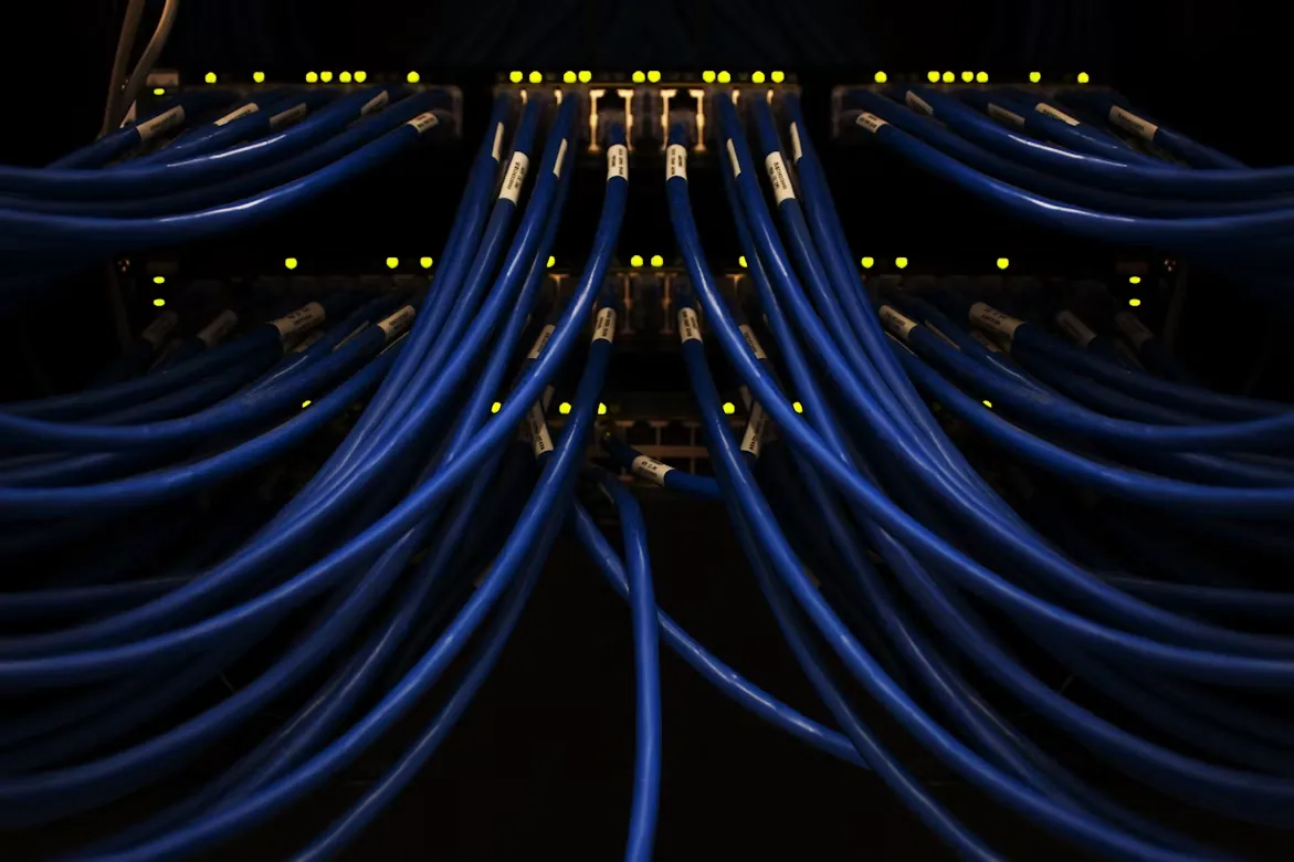 Blue network wiring