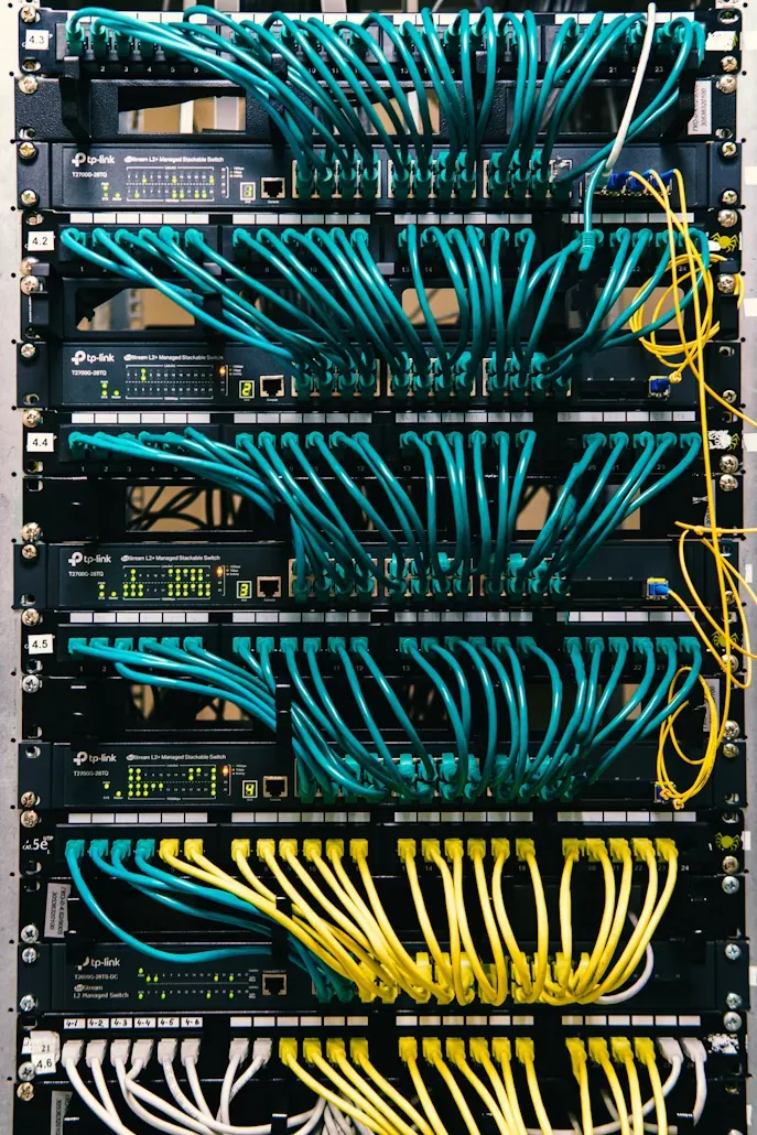 Server rack wiring